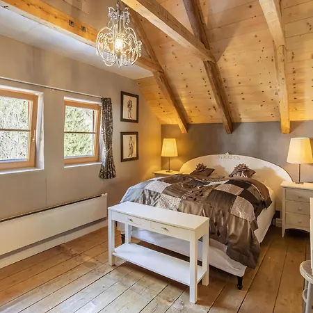 Chalet In Near Slopes *